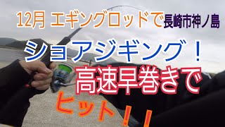 12月 エギングロッドでショアジギング！ 一旦沈めて 高速早巻きでヒット！ 長崎市神ノ島  /セフィアBB/Daiwa  17 Xファイア2510PE-H