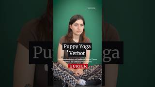 Wholesome oder #Tierquälerei ? In #Italien wurde #Puppyyoga verboten. Auch nach #Wien kommt es nicht