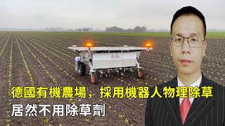 德國有機農場，採用機器人物理除草技術，居然不用除草劑！||German organic farms use robotic physical weeding without herbicides!