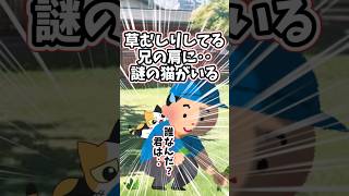 見知らぬ猫が、草むしり中の兄の肩にいる‥　　　　　　　　　　　　　　　.　　　　　　　　　　　　　　. 　　　　　　　　　　【 ほっこり 泣ける話 感動する話 】 #2ch #猫 #犬 #Shorts