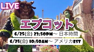 🔴ライブ:【エプコット 】からの生配信　パーク開園からスタート