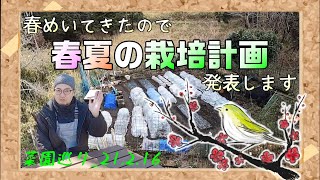 【菜園巡り_2021.02.16】蕗の薹の様子\u0026春夏野菜の栽培計画発表