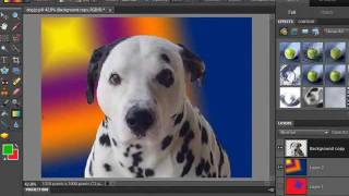How to Change a Background in Photoshop Elements