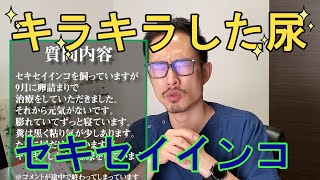 【質問コーナー】獣医師がペットの質問にまた答えます！⑤