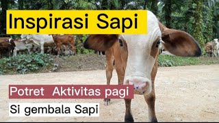 Potret Aktivitas pagi si penggembala sapi