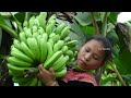 husband s touching letter banana harvest the life of a 17 year old single mother