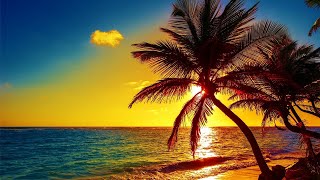 Beautiful Relaxing Peaceful Music, Calm Music 24/7, "Tropical Shores" By Healing Soul
