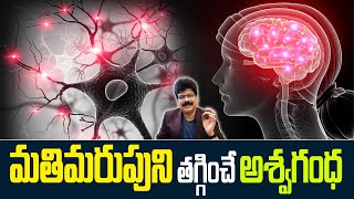 మతిమరుపుని తగ్గించే అశ్వగంధ! How to Increase Memory! Memory Loss ! Brain Power ! #memoryloss