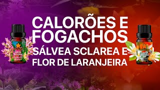 CALORÕES E FOGACHOS DA MENOPAUSA