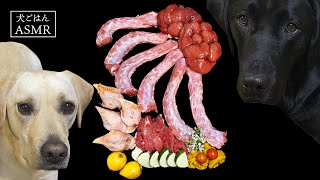 【ASMR  犬ごはん】生肉のおかわりはないがスペシャルなデザート食べて満足そうなラブラドールレトリバー/咀嚼音/Raw Feeding/Dogs asmr