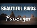 Beautiful Birds (Feat. Birdy) - Passenger{Lyrics Video}🛸