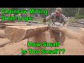 Chainsaw Mill: Small Logs