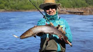 Siberian taimen fishing 2018