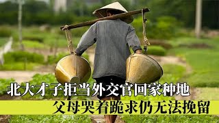 北大才子拒當外交官，只為回農村種地，父母哭著跪求仍無法挽留 #纪录片 #x調查 #紀錄片 #抗日 #纪录片解说