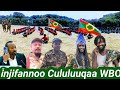 09/12/2024 injifannoo Cululuuqaa WBO shiraa fi holoola Bilsiginnaa maqaa WBO tu galaa jira jedhuun