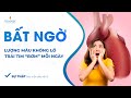 Sự thật bác sĩ lần đầu tiết lộ: Lượng máu khổng lồ trái tim 