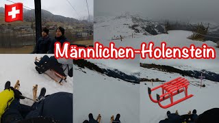 Schlitteln / Sledding in Grindelwald 🇨🇭 | 📍Männlichen-Holenstein (First time🛷) February2024