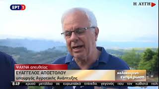 Β. Αποστόλου: Συντονισμός και έγκαιρη επέμβαση στην πυρκαγιά στα Ψαχνά