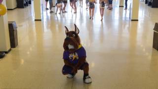 University at Albany Orientation and Transition Programs Promo