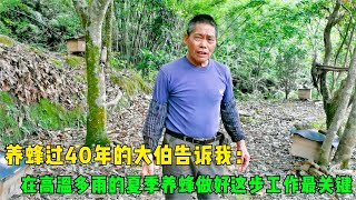 养蜂过40年的大伯告诉我：在多雨的夏季养蜂，做好这步工作最关键