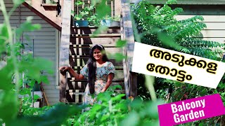 indian Vegetable garden in america|Adukkalathottam|usa malayalam vlog|Balcony garden vlog malayalam