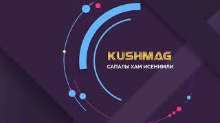 KUSHMAG - Есиклери, танысыуды дауам етемиз.