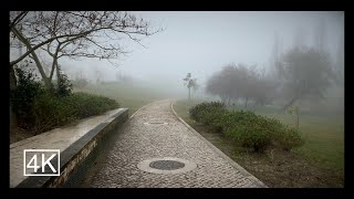 Walking in Lisbon - Foggy Morning at Parque Oeste - Winter Tour