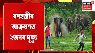 Dudhnoi News | দুধনৈত বনহস্তীৰ আক্ৰমণত ২জনৰ মৃত্যু