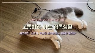 복숭아 통조림 만들어 먹고 푸드장 블랙앵거스랑 온갖 고기 구워먹고 고롱이랑 논 집콕 브이로그