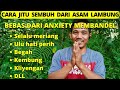 Part 16 sembuh total dari asam lambung gerd tanpa obat cara jitu sembuh dari gastritis