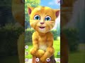 MY TALKING GINGER - the cutest talking ginger you ever saw! #short #talkinginger #talkingtom