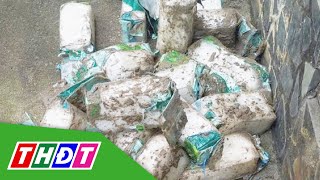 Hàng chục ký tinh thể nghi ma t.ú.y dạt vào bờ biển Côn Đảo | THDT