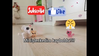 Minişler:kedim kayboldu!?!