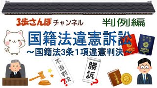 絵でわかりやすく解説！判例編 「国籍法違憲訴訟」～国籍法3条1項違憲判決～　判決日：平成20年6月4日【公務員/行政書士/社労士/司法書士 等試験対策＆雑学】