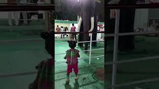 🎊🤩💢நான் முதன்முறையாக டைனோசரைப் பார்க்கிறேன் #new #video #viral #subscribe #reels #shortvideo #shorts