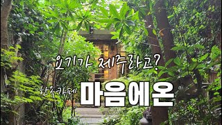 [제주여행]요기가 제주라고? 한옥카페 마음에온 |제주여행|제주카페|마음에온|제주가볼만한곳|서귀포여행