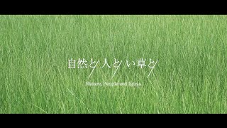 自然と、人と、い草と/Nature.People.and Igusa イケヒコ/IKEHIKO