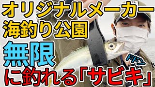 オリジナルメーカー海釣り公園 これが無限サビキ！ファミリーフィッシングに最適！千葉県市原市の釣り場情報