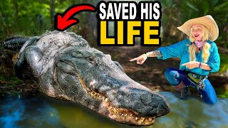 We Just Saved This Gators Life