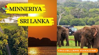 Journey to Minneriya National Park I Amazing Elephant Sightings I Habarana I Sri Lanka Travel