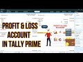 Profit & Loss Account Report In Tally Prime 2.1 || Tally For Beginners ||