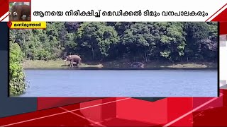 സ്വസ്ഥം...ശാന്തം; അരിക്കൊമ്പൻ കോതയാർ ഡാം പരിസരത്ത് തുടരുന്നു | Arikomban | Tamilnadu |