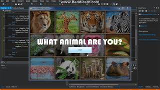 Visual Basic .NET - What animal are you? Tutorial Part 4