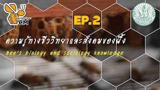 EP. 2 ความรู้ทางชีววิทยาของผึ้งพันธุ์