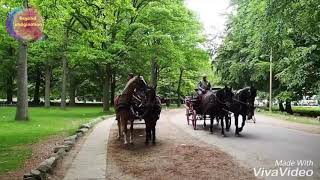 Amazing Copenhagen, Denmark. 4k video by drone