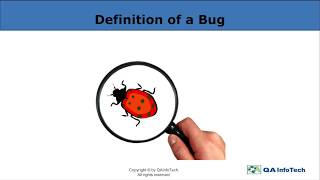 Learn Bug Reporting Techniques