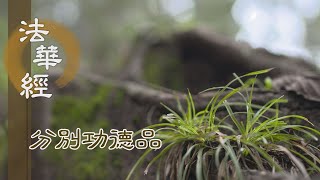 【靜思妙蓮華】法華經 分別功德品 - 得無漏果 廣博利益 - 20240220 第1615集