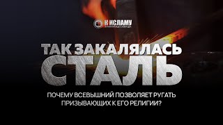 39. Так закалялась сталь. Почему Всевышний позволяет ругать призывающих к Его религии?