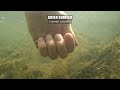 underwater footage with best fishing tip for green u0026 warmouth