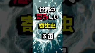 世界の恐ろしい寄生虫3選 #都市伝説 #ホラー #雑学  #shorts